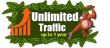 Unlimited Website Traffic